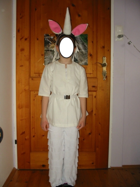 einhorn von vorne